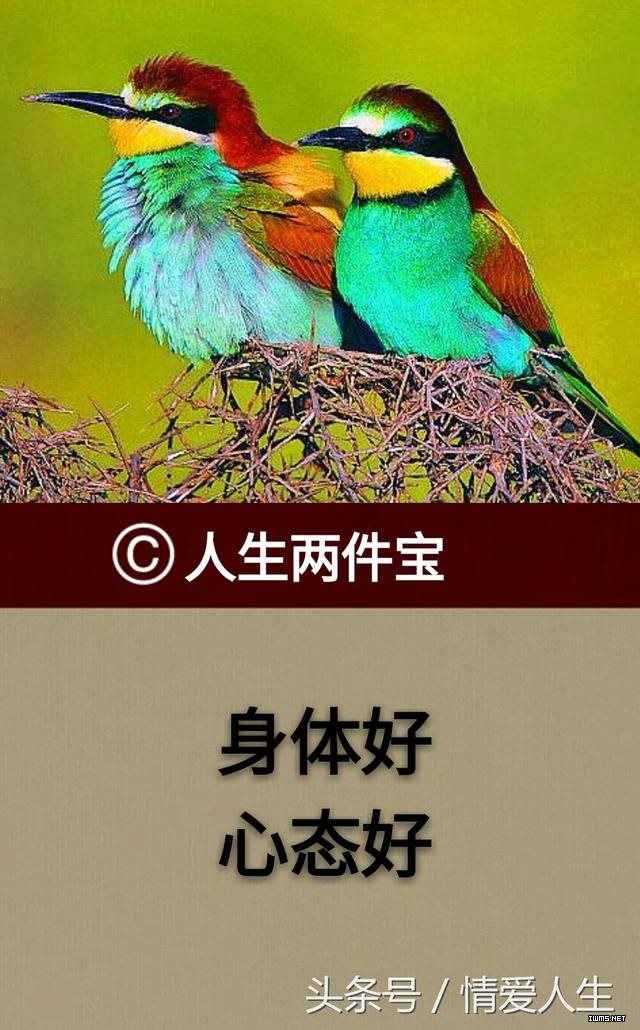 不去贪婪,不去攀比,活得安静,过得开心.